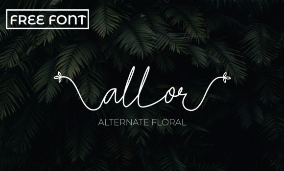Allor Font Review: A Slim Handwritten Typeface for Small Business Branding
