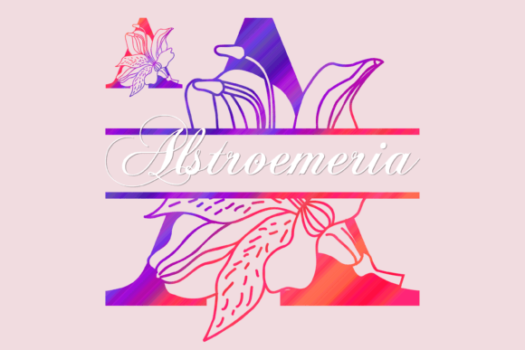Alstroemeria Split: A Decorative Font for Campaign Visuals