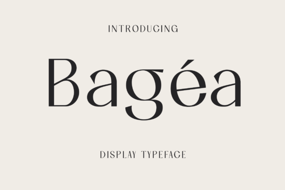 Bagea: The Slab Serif Font That Elevates Small Business Branding