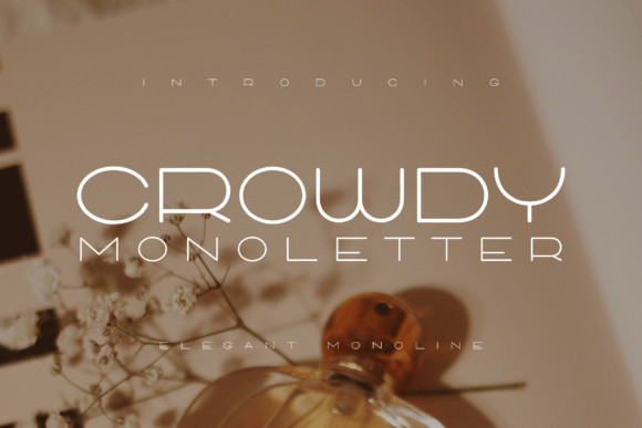 Crowdy Monoletter: The Clean Typeface for Sharp Campaigns