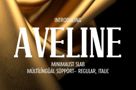 Envie: The Elegant Slab Serif Typeface for Small Business Branding