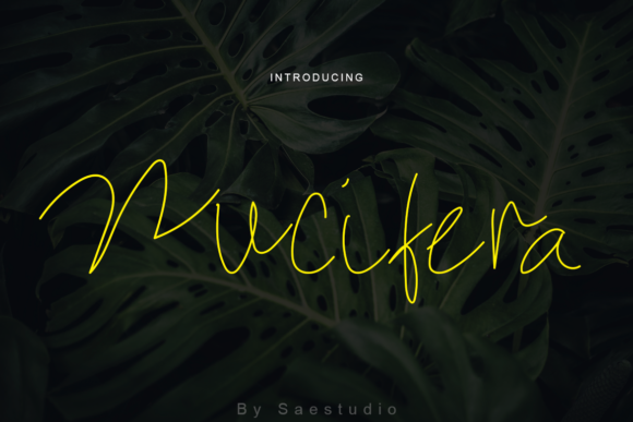 Nucifera: The Handwritten Font That Elevates Campaign Design