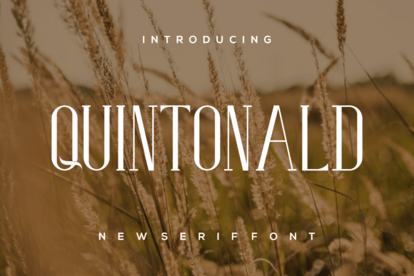 Quintonald: The Elegant Serif Font for Handmade Brands