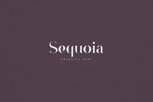 Sequoia: A Versatile Serif Font for Modern Web Design