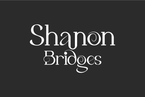 Shanon Bridges: A Designer's Review for Branding